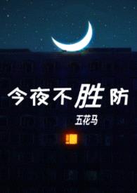 今夜不胜防（伪）封面