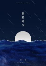 与星同沉封面